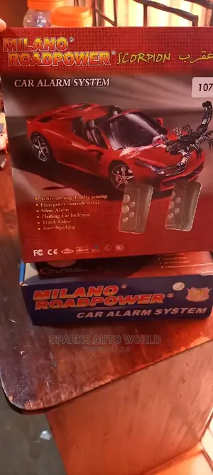 Car Security Alarms