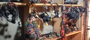 Professional Car Wiring
