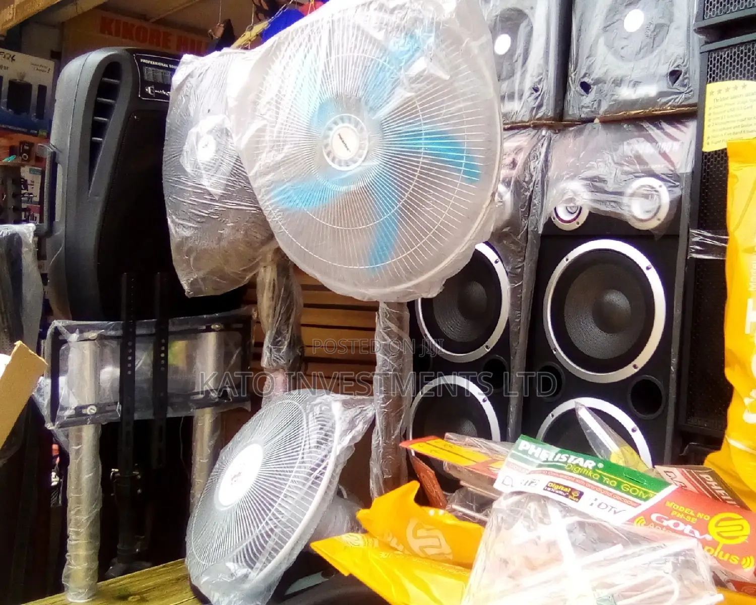 Fan Standing
