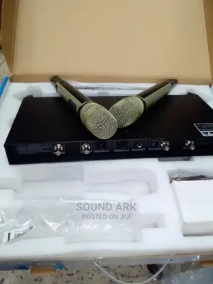 Professional Microphone