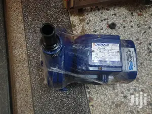 Water Pump 1 HP Pedrollo