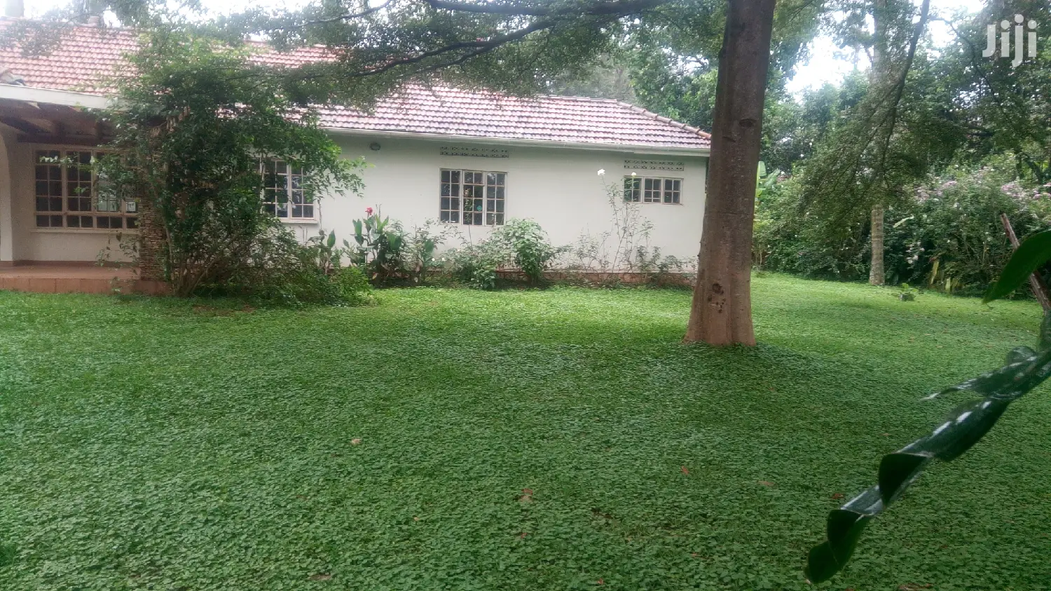 Classic Villa