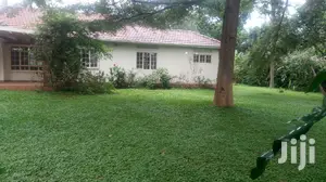 Classic Villa