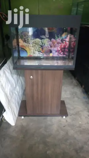 Beautiful Aquariums From Aqua 2000