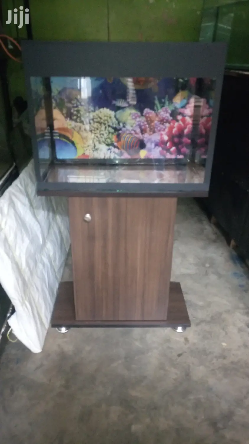 Beautiful Aquariums From Aqua 2000