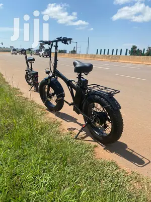 Electric Bicycle