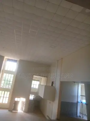 Suspended Ceiling And Gypsum Board Installation