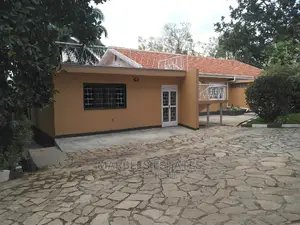 4 Bedroom House In Muyenga For Rent