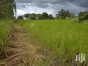Farmland for Sale/Rent in Northern Uganda