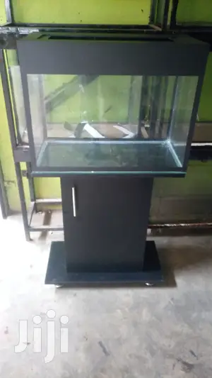 Good Aquariums in All Shspes