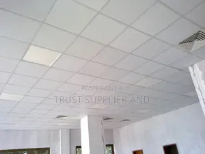 Suspended Ceiling And Gypsum Board Installation