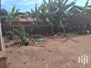 Are U Looking for Plot on Gaba Rd Bunga at Give Away Prices