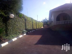 A Magnificent Banglow In Bugoloobi