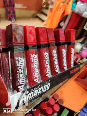 Romantic Bird Long Lasting Matte Waterproof Amazing Lipstick