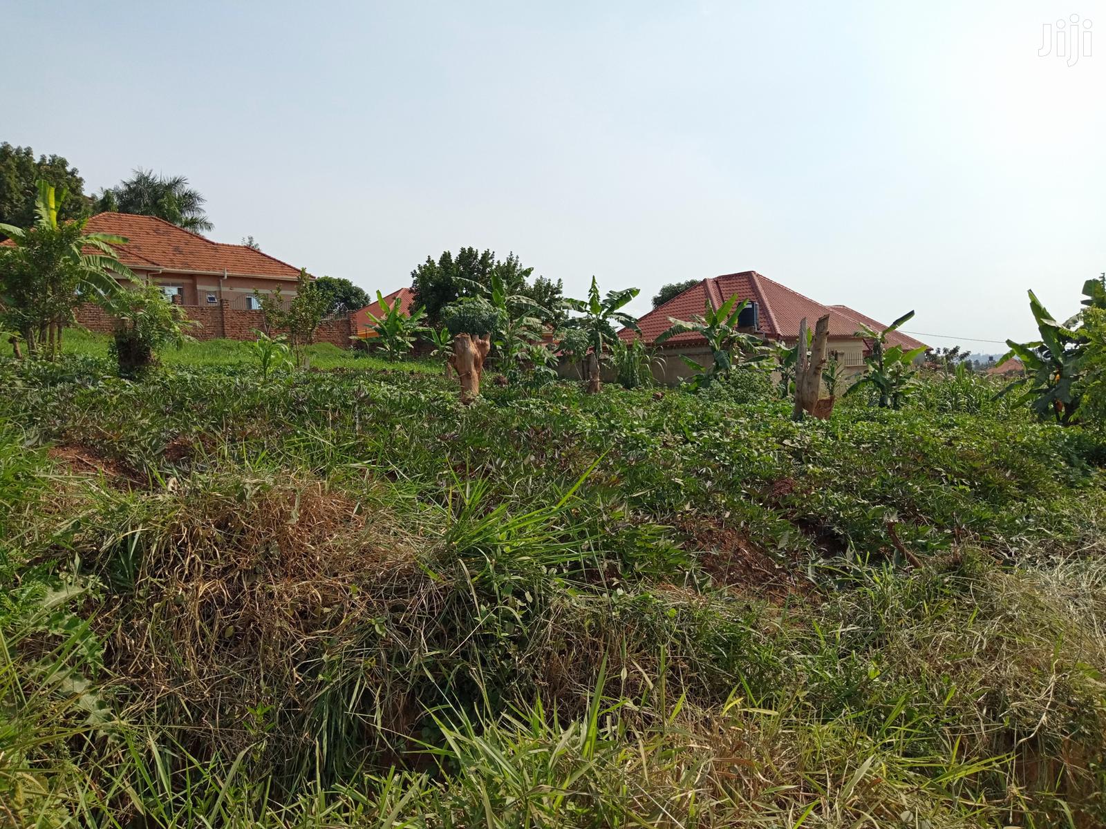 Kira Plot On Sell