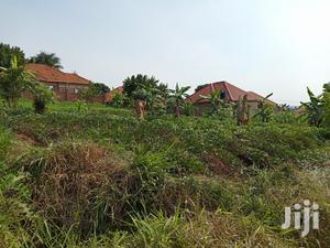 Kira Plot On Sell