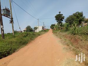 Kira Posh Plot on Sell