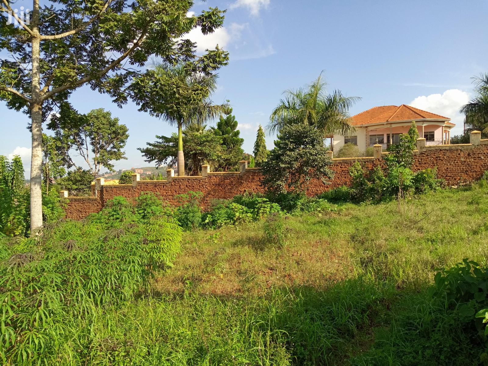 Kira Beautiful Plot on Sell