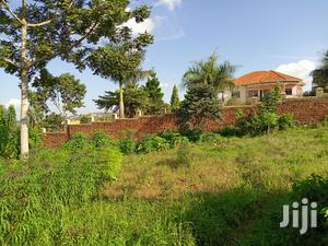 Kira Beautiful Plot on Sell