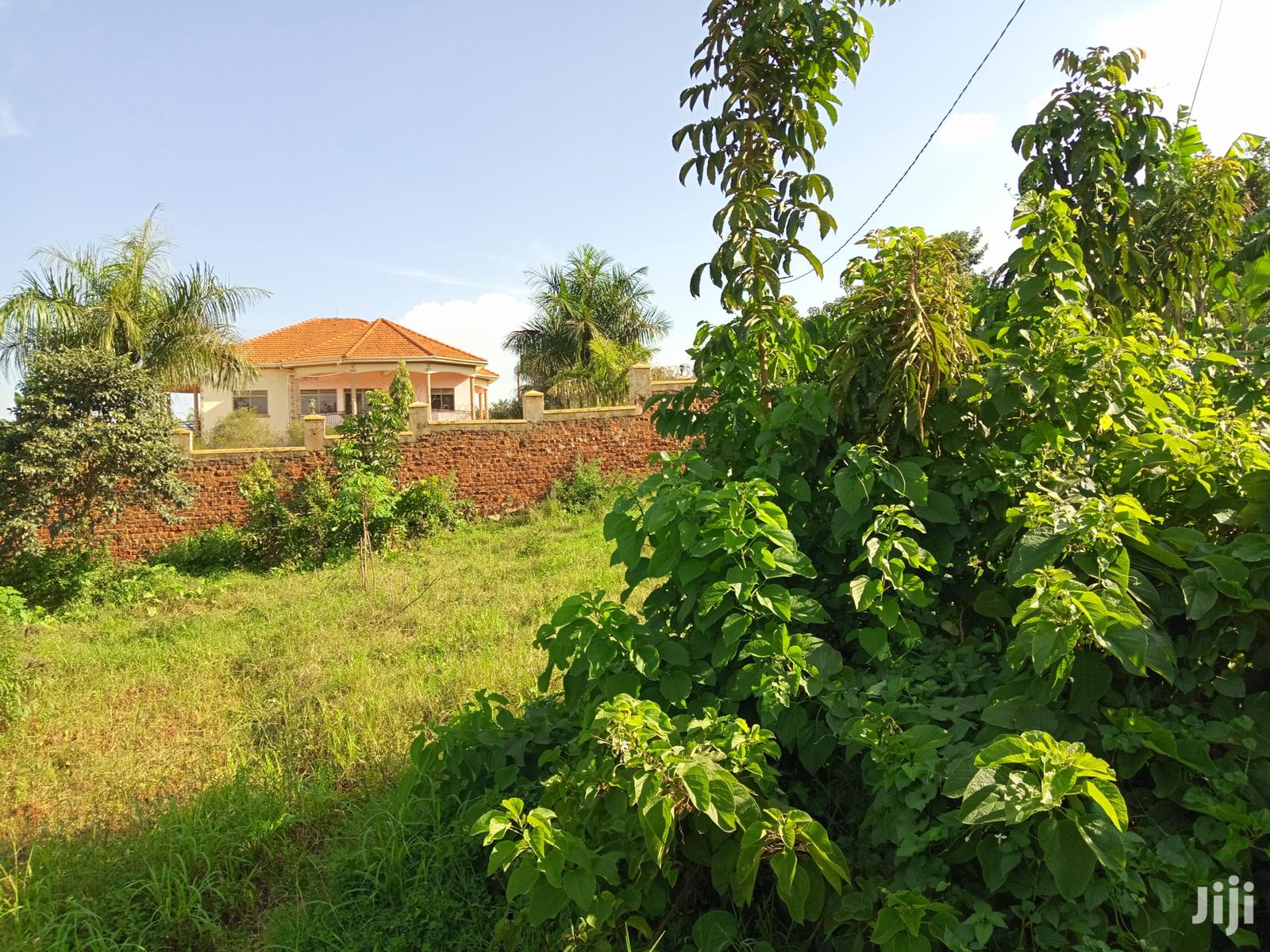 Kira Beautiful Plot on Sell