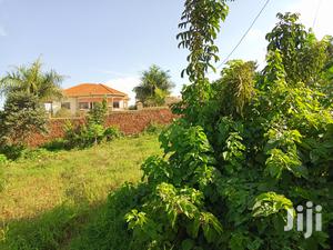 Kira Beautiful Plot on Sell