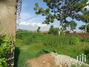 Kira Beautiful Plot on Sell