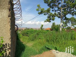 Kira Beautiful Plot on Sell