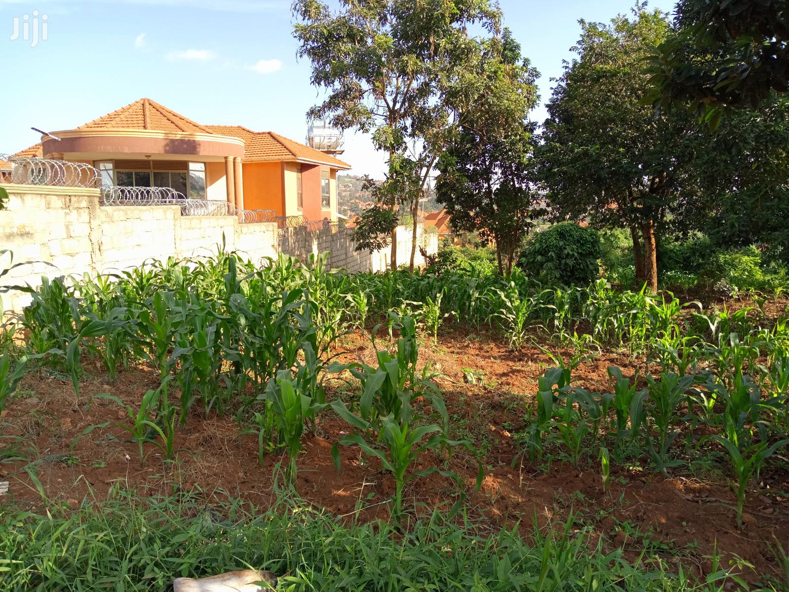 Kira Nice Plots on Sell