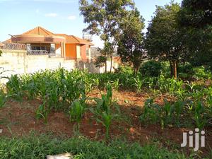 Kira Nice Plots on Sell