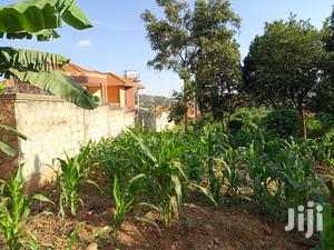 Kira Nice Plots on Sell