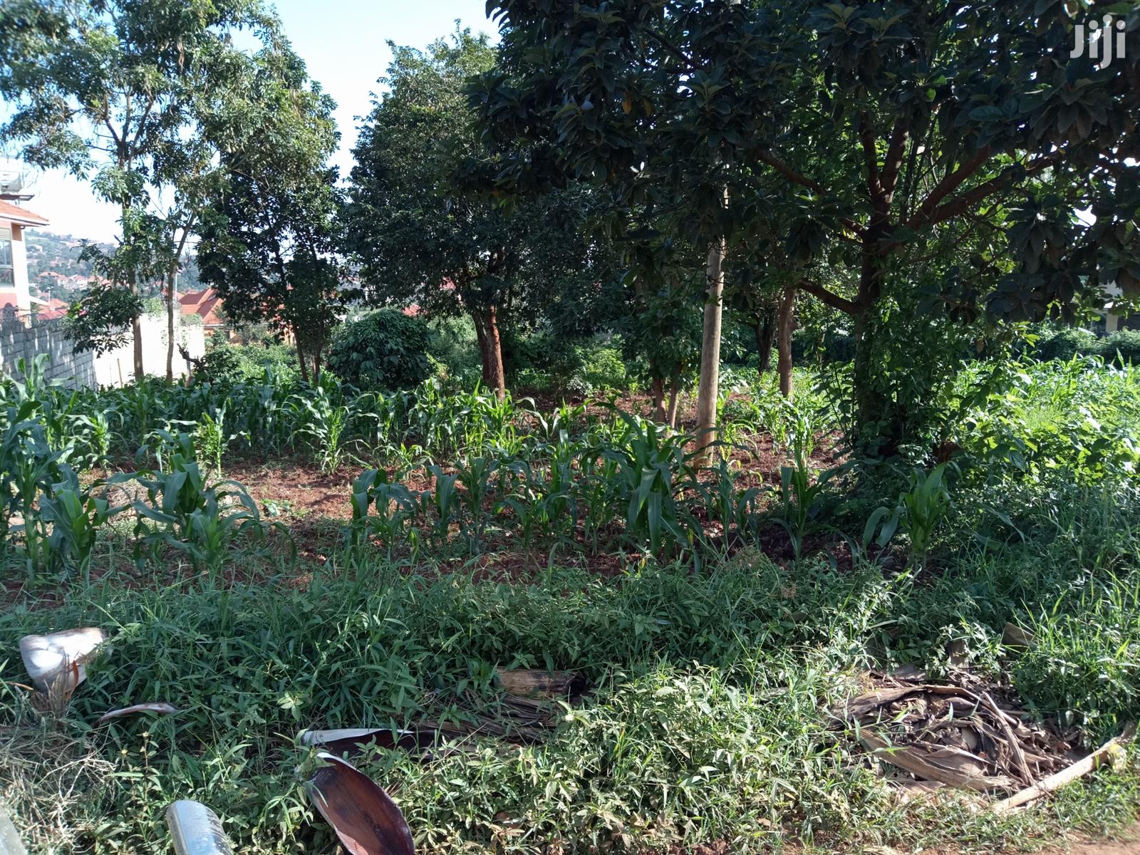 Kira Nice Plots on Sell