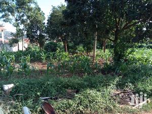 Kira Nice Plots on Sell