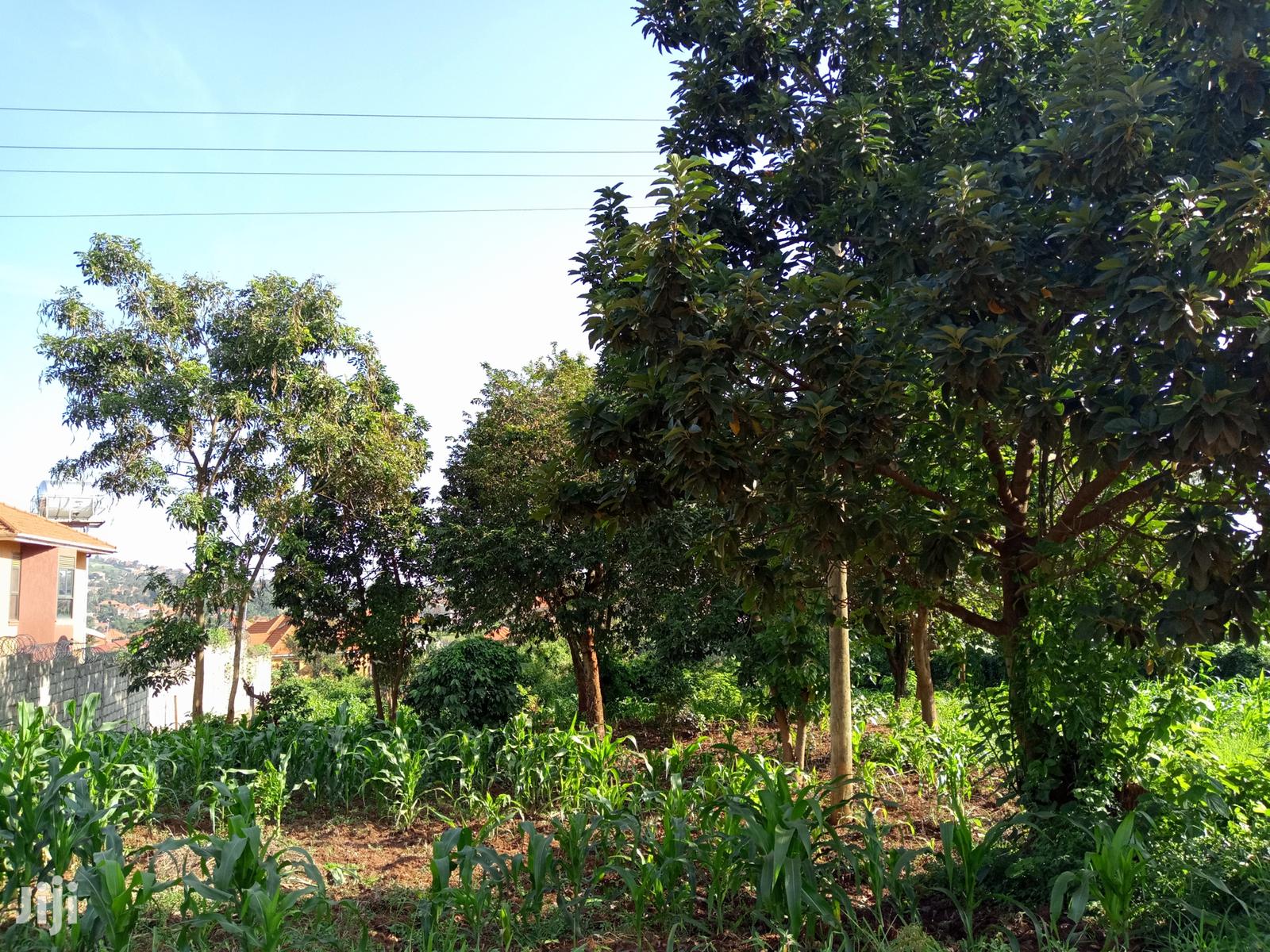 Kira Nice Plots on Sell