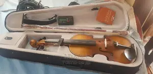 4/4 Electric Violin
