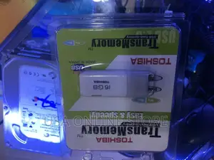 Toshiba and Sandisk Flash Memory