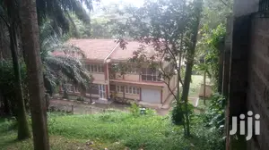 4 Bedroom Villa In Kololo For Rent