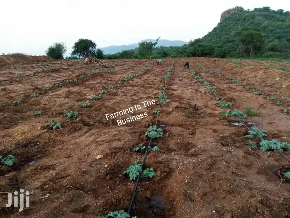 Agricultural Worker's