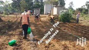 Agricultural Worker's