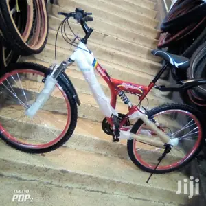 Adult Bicycles