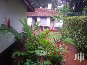 Three Bedroom House In Kololo For Rent