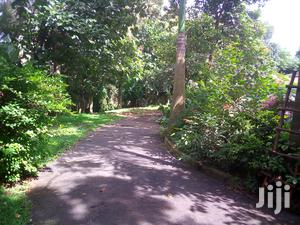 Property for Sale in Kololo