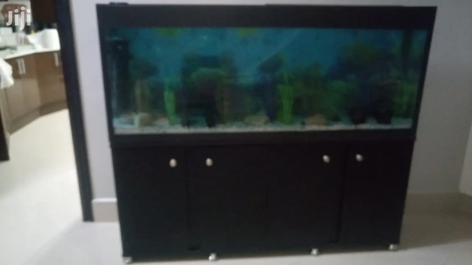 Beautiful,Cheaper and Durable Aquarium From Aqua 2000