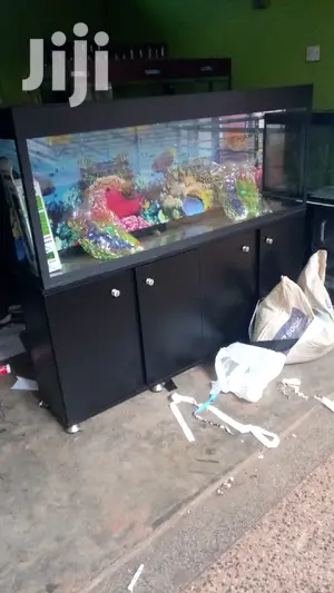Good Aquarium Designs From Aqua 2000