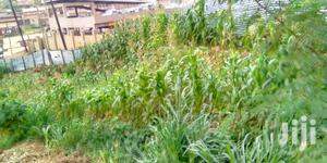 Land In Lugogo For Sale