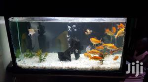 Aquarium