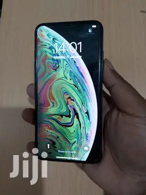 Apple iPhone XS Max 256 GB Gray