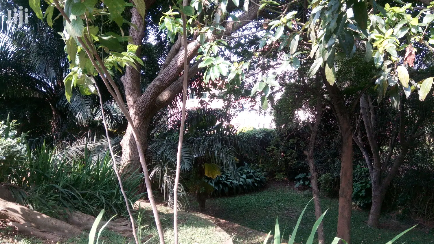 Colonial Green Home