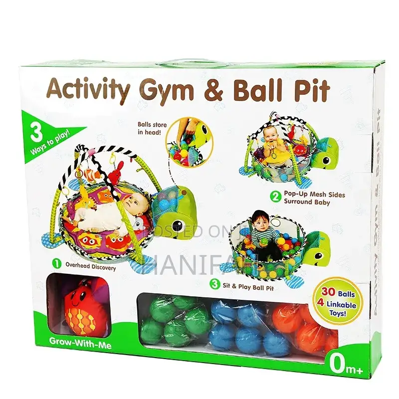 Activity Gym and Ball Pit