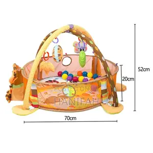 Activity Gym and Ball Pit
