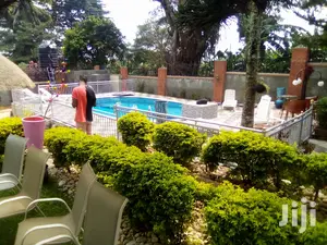 Swimming Pool Construction Services